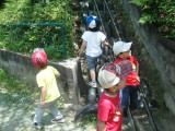 img0006.jpg