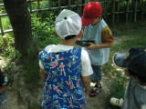 img0011.jpg
