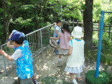 img0013.jpg
