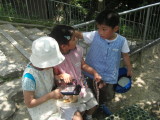 img0014.jpg
