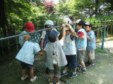 img0015.jpg