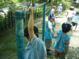 img0016.jpg