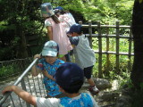 img0019.jpg