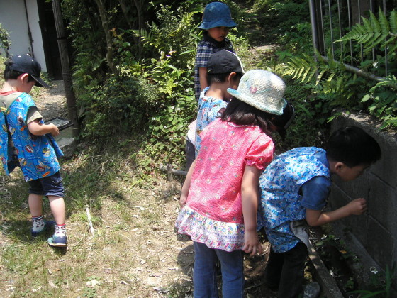 img0005.jpg
