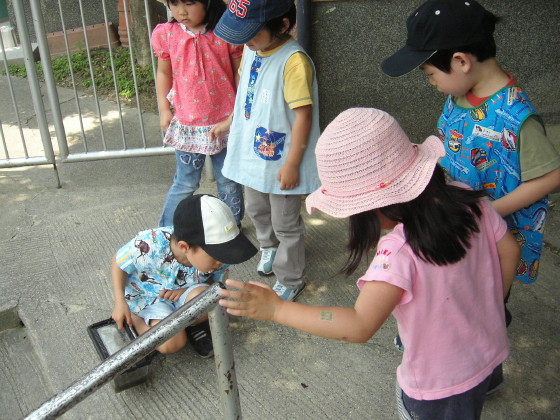 img0010.jpg