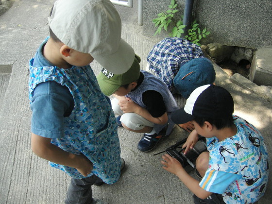 img0011.jpg