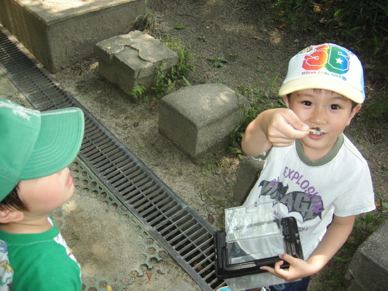 img0014.jpg