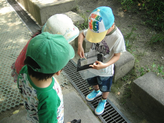 img0015.jpg