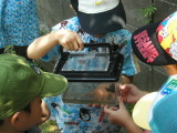 img0004.jpg