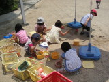 img0006.jpg