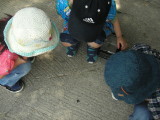 img0009.jpg