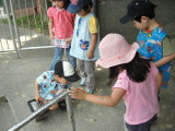 img0010.jpg