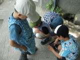img0011.jpg