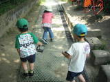 img0016.jpg