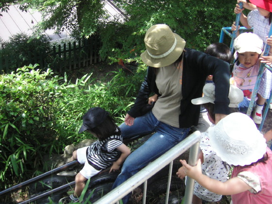img0012.jpg