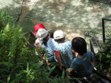 img0000.jpg