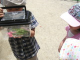 img0009.jpg
