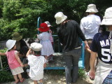 img0011.jpg