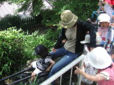 img0012.jpg