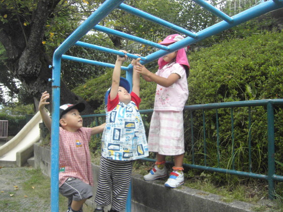 img0005.jpg