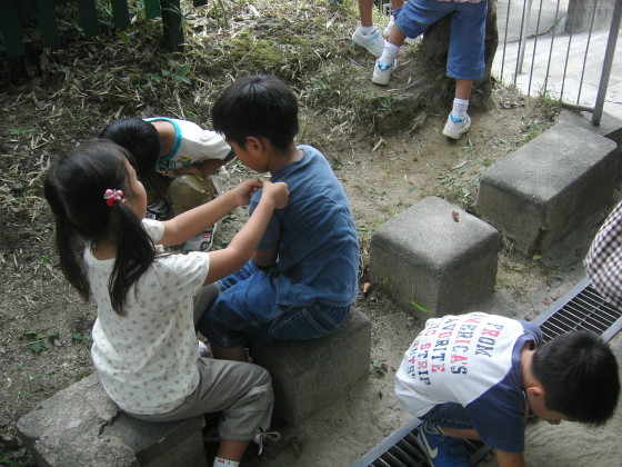 img0015.jpg