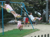 img0012.jpg