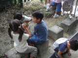 img0014.jpg