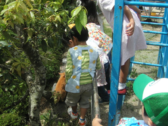 img0006.jpg