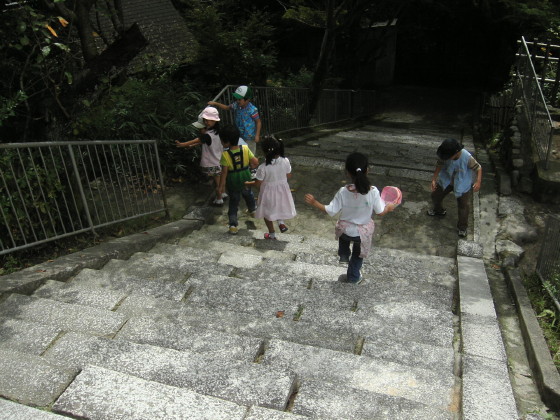 img0008.jpg