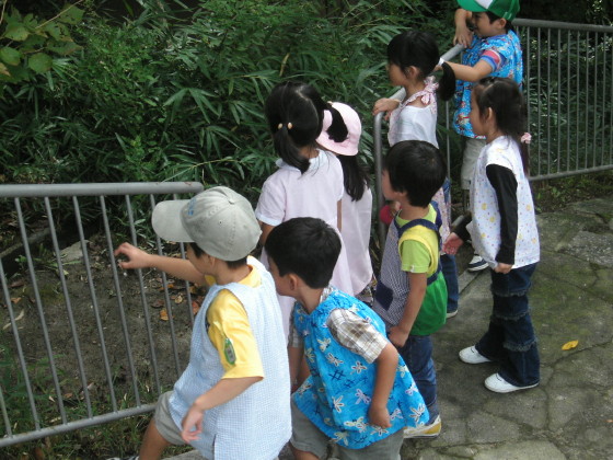 img0009.jpg