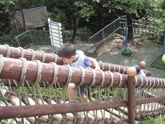 img0013.jpg