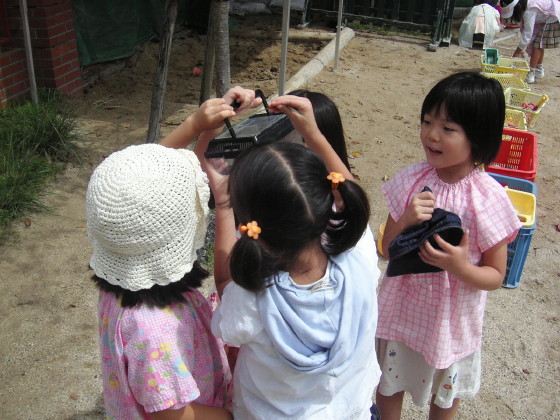 img0016.jpg