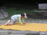 img0003.jpg