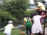 img0005.jpg