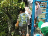 img0006.jpg