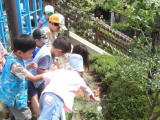 img0007.jpg