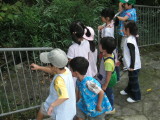 img0009.jpg