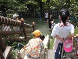 img0011.jpg