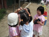 img0016.jpg