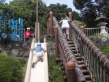 img0010.jpg