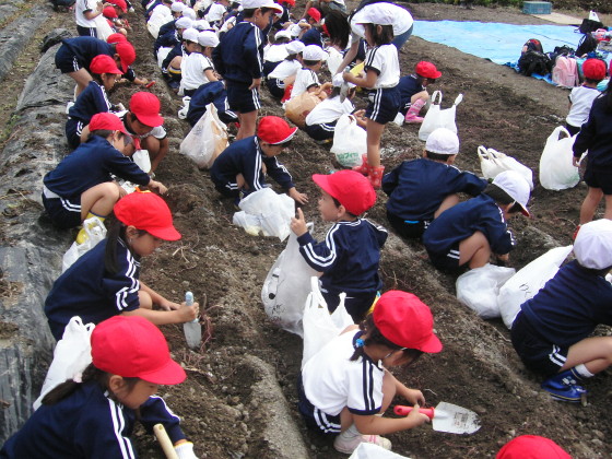 img0000.jpg