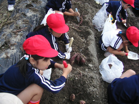 img0003.jpg