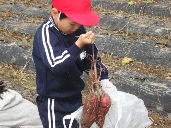 img0006.jpg