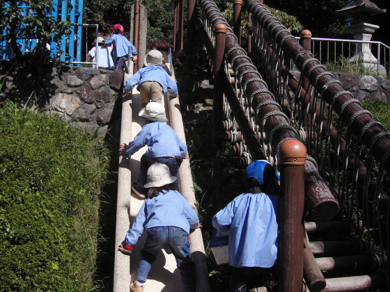 img0009.jpg