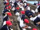 img0000.jpg