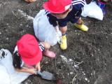 img0001.jpg