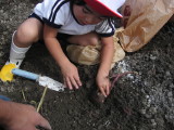 img0002.jpg