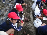 img0003.jpg