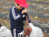 img0006.jpg