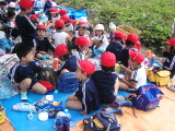 img0008.jpg
